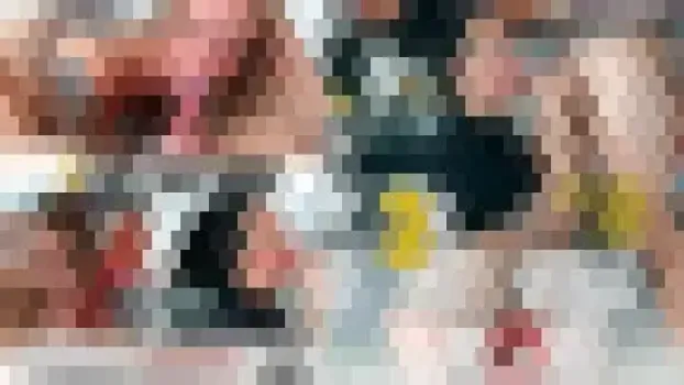 三人のオランダ素人