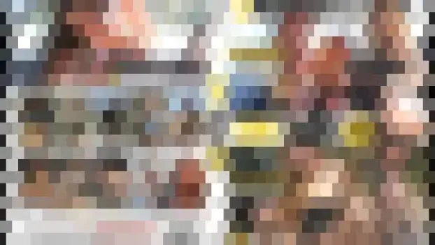 ストリートガール 13
